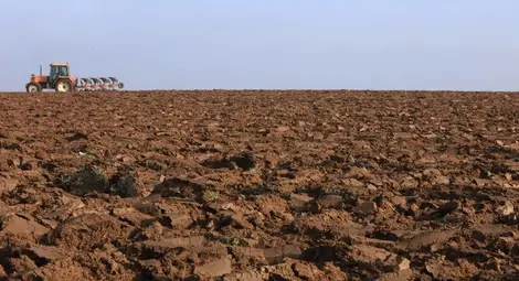 Арендатори: Нивите около Русе стигнаха пределната си стойност