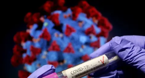 Само 6 месеца имунитет срещу коронавируса