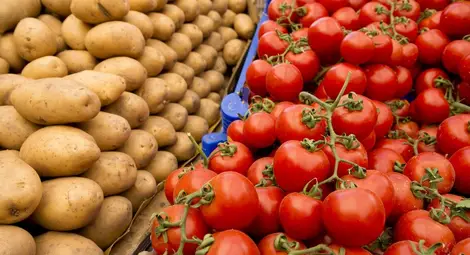 Картофът всъщност е много странен домат - една еволюционна история с елементи на семейна драма