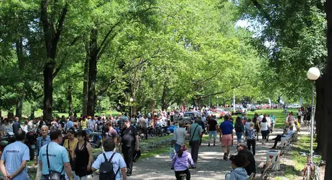 Ретро на колела: Правен за Йордания мерцедес взе купата на кмета, спортно рено спечели публиката