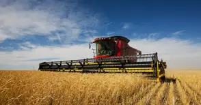 Режат субсидиите за ниви без договори