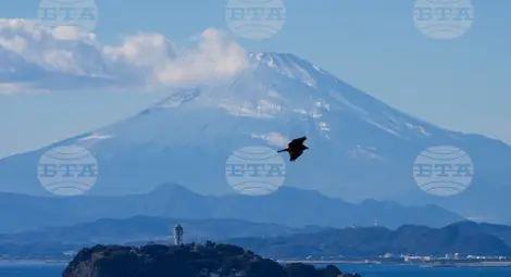 Снимка: БТА Снимка: БТА