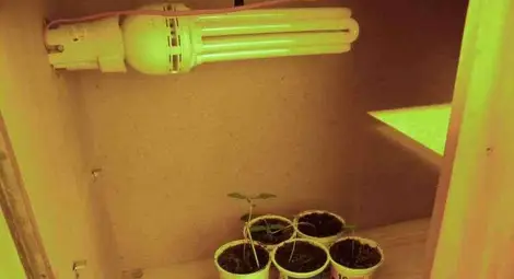 Руснак превърнал сеновал в оранжерия за канабис в Новград