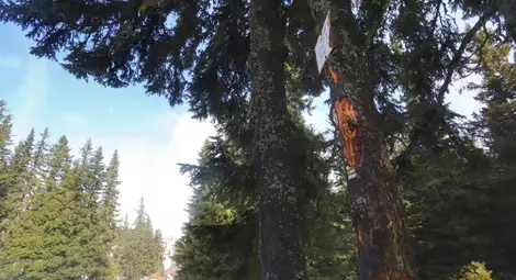 Времето днес: Отново слънчево с градуси до 16