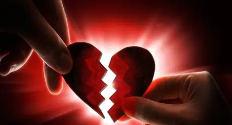 Изоставен от любимата моли президента Радев да я върне вкъщи