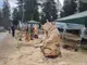 Скулптури от дърво майсторят с резачки на пленер в Пампорово