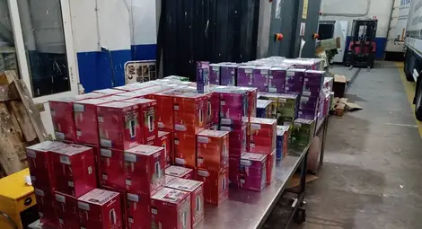 Над 3000 нелегални електронни цигари засечени в турски тир