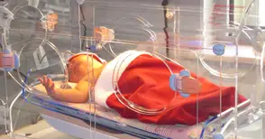 Малкият великан Сърач започна живота си с рекорд - 5.200 кг и 56 см