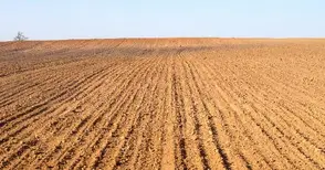 Тежки пазарлъци за ренти може да оставят хиляди декари незасети