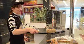 Козуначени коминчета димят  съблазнително в „Мол Русе“