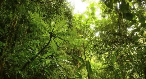 Откриха останки от древен град на изчезнала цивилизация