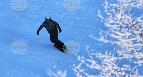 Снимка: БТА Снимка: БТА