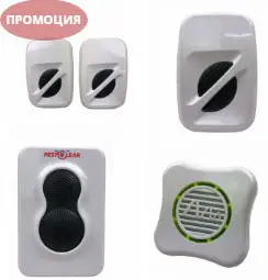 Кои уреди ще прогонят паяците от дома ви?