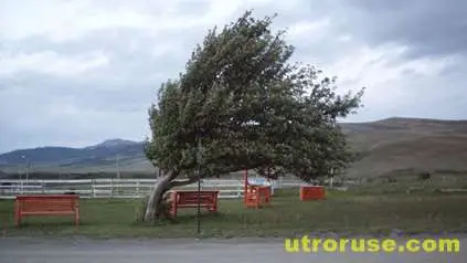 Жълт код в 14 области за силен вятър