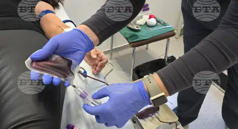 Снимка: БТА