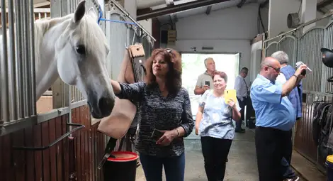 Обсъждат се възможности за модернизиране на Хиподрума в Русе чрез европейски средства