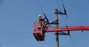 „Енерго-Про“ пази птиците със специални изолации