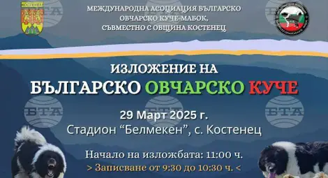 Снимка: БТА