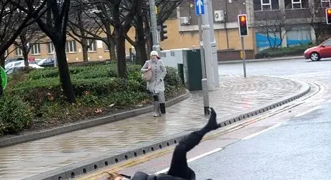 Вижте най-ужасната буря на Острова от 30 години! 