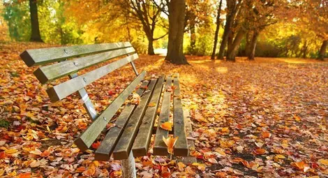 Слънцето ще ни радва и през уикенда, градусите &ndash; над 20