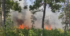 Седем пожара гасени през уикенда, 126 дка гори изпепелени в областта през юли