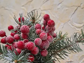 Две  ученички от СУЕЕ "Св. Константин-Кирил Философ&ldquo; организираха благотворителен базар за изграждането на &bdquo;Синя стая&ldquo; в Съдебната палата в Русе