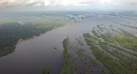 Дрон засне племе в Амазонската джунгла, неподозиращо за външния свят