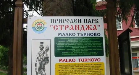 Анулираха обществена поръчка на "Странджа" за ремонт на сайт срещу 384 000 лева