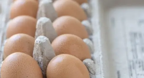 Има ли опасност от наличие на фипронил в храните у нас