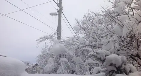 Възстановяването на електрозахранването в Североизточна България е затруднено от непроходими пътища
