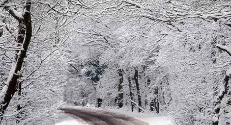 Прогноза за времето за 31 януари 2013 г.