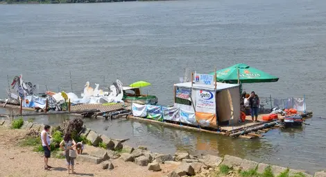 Русе посреща Дунавския сал с равнодушно мълчание