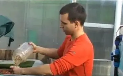 Българин отглежда шарани и зеленчуци по уникален нов метод