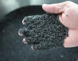 Не купувайте хайвер от застрашени есетри за Коледа, зове екоорганизация