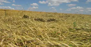 Изплащат 4.4 милиона лева за  пропаднали земеделски площи