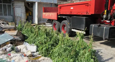 Удар в Бяла: Изоставен склад около &bdquo;Модул&ldquo; превърнат в най-модерната откривана наркооранжения