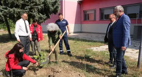 Засадиха дърво на приятелството между Русе и Гюргево  пред Първа пожарна служба