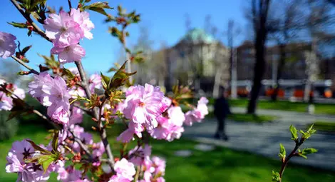 Довиждане, зима. Здравей, пролетна умора