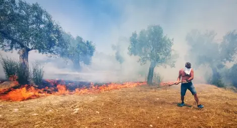 Нов пожар избухна в околностите на Атина Нов пожар избухна в околностите на Атина