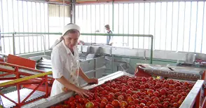 Изнасяме повече плодове, отколкото консумираме