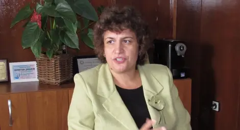 Росица Георгиева се притеснява, че докато сегашните първолаци станат в 7 клас, бройката им ще намалее още - какъв прием за гимназиите ще се прави тогава? 