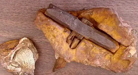 Сензационни находки, за които учените мълчат като риби