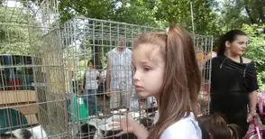 Игри събраха хлапета и кутрета в парка