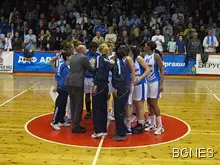 Руски "пчели" ужилиха Дунав 8806