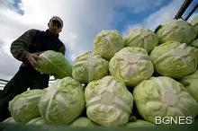 Суперхраните са вредни за здравето