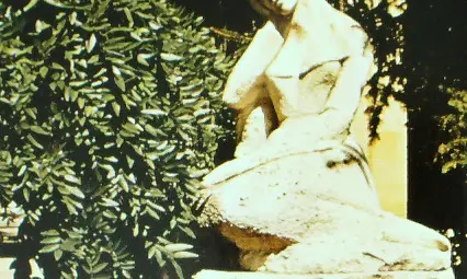 Юлия Вревская - Розата на Русия, откъсната за България