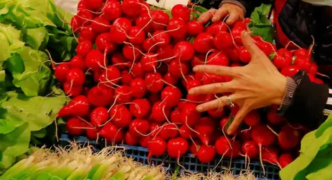 Репичките като суперхрана: от защита на черния дроб до борба с рака