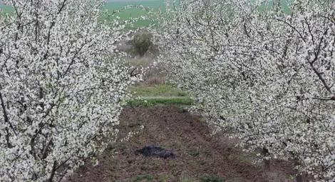 Хладно и дъждовно, на места ще паднат и слани