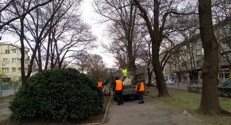 Продължава косенето на зелените площи и пръскането срещу кърлежи в Русе - вижте графика /галерия/
