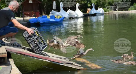 Снимка: БТА